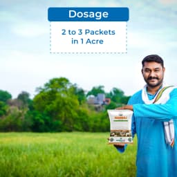 Nagraj BGII - Hybrid Cotton Seeds (475 Gm) Bollgard ll Technology, Kapas Ke Beej 5