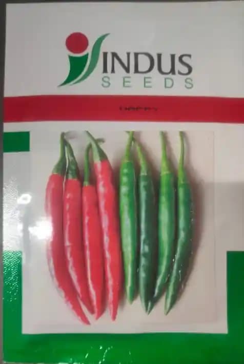 Indus Happy Chilli Seeds, Mirchi ke beej , Good Quality Seeds , High Yeilding Variety. 10 Gram Pack - Image 1