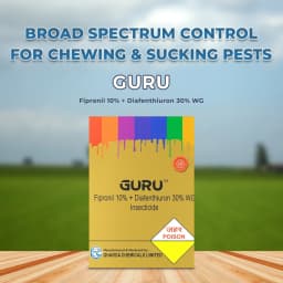 Gharda Guru Fipronil 10% + Diafenthiuron 30% WG Insecticide, Powerful Whitefly And Thrips Control 2