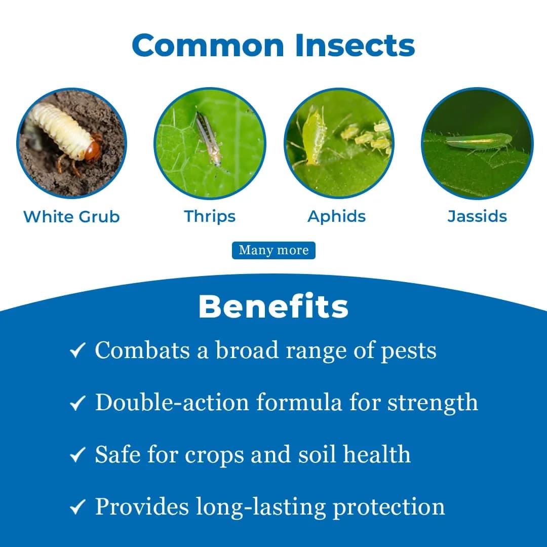 EBS F+Imida Insecticides - Fipronil 40% + Imidacloprid 40% WG - Image 3