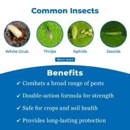 EBS F+Imida Insecticides - Fipronil 40% + Imidacloprid 40% WG 3