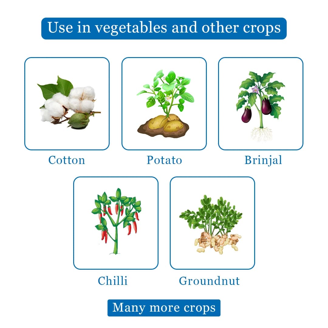 Agriventure FIPIMI (Fipronil 40% + Imidacloprid 40% WG) Contact And Systemic Insecticides, Control of White Grubs, and Other Sucking Pests. - Image 4