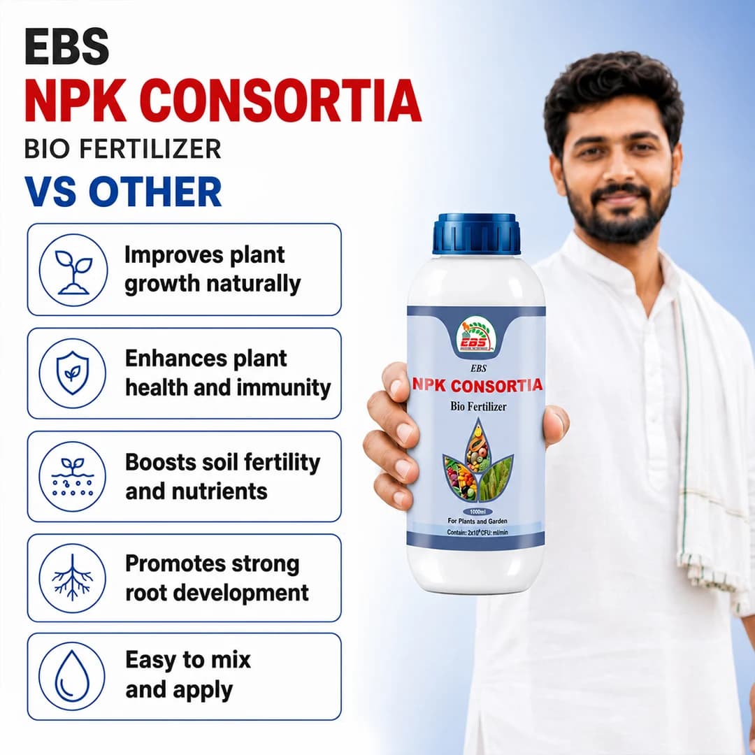 EBS NPK కన్సార్షియా జీవ ఎరువు, వాతావరణం నుండి నత్రజని & భాస్వరాన్ని స్థిరీకరించే బ్యాక్టీరియా కలిగి ఉంటుంది, మొక్కలు & గార్డెన్ కోసం - Image 6