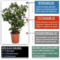 Greatindos GRADE A Premium Quality NPK 15:15:15 Hydroponic Fertilizer 2
