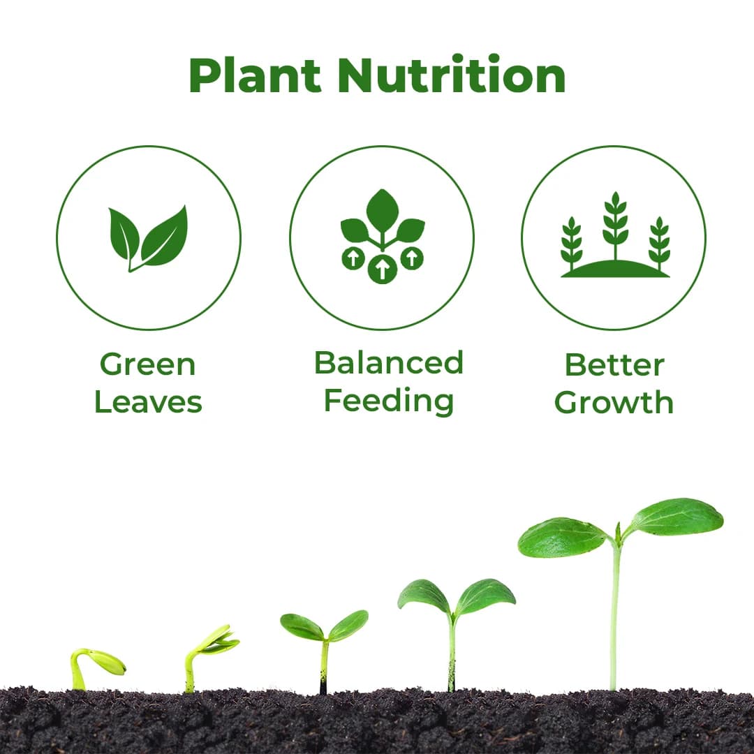 NUTRIMIX (Bio Encapsulated Multi Micro-Nutrients) Bioactive, Iron, Zinc, Manganaese, Boron and Other Essential Micronutrients - Image 3