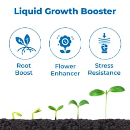 GACIL Seaweed Extract Liquid Fertilizer Growth Promoter For Indoor and Outdoor Plants & Agriculture Crops 3
