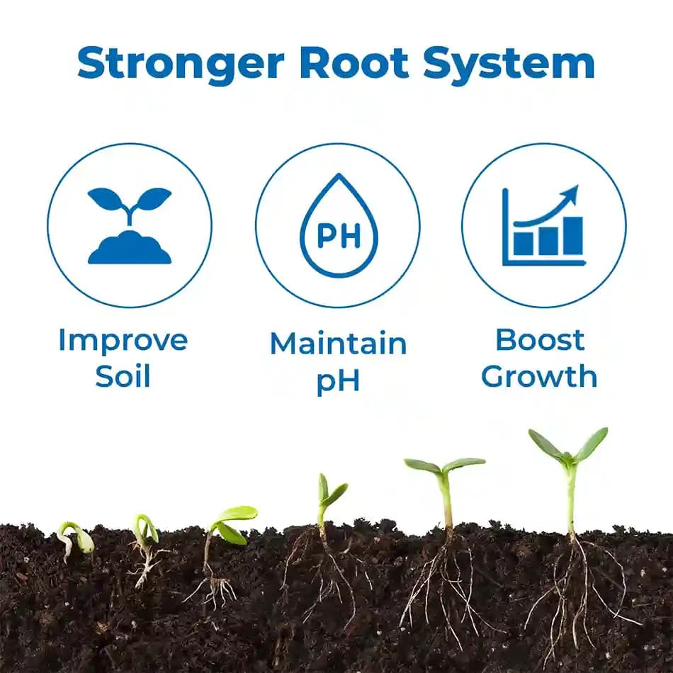 FOST ROOTEX - Soil Conditioner & pH Balancer, Increase the Plant Root Growth and Metabolism - Image 3