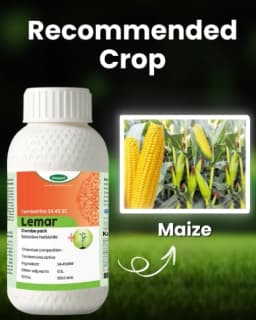 Katyayani Lemar Tembotrione 42% SC Herbicide, Broad Spectrum Post Emergence Herbicide, (Lemar 115 ml + Surfactant 400 ml) 4