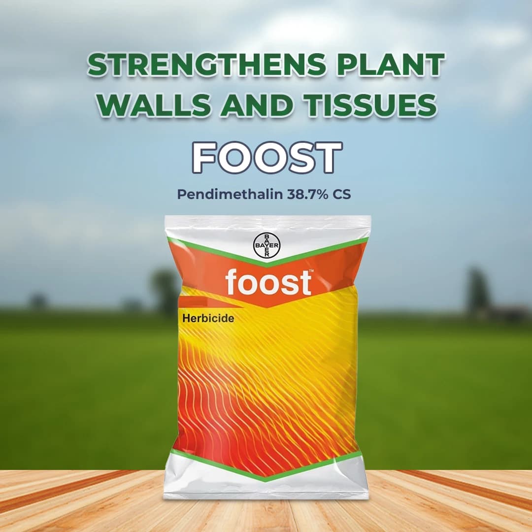 Bayer Foost Atrazine 50%WP Selective Herbicide For Maize And Sugarcane Crops - Image 2