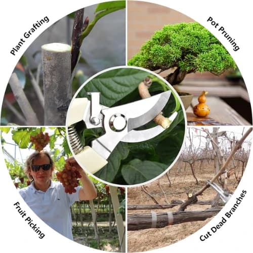 Stainless Steel Garden Scissors, Flower Cutter With Soft Grip Handle For Pruning, Trimming & Gardening - Image 2