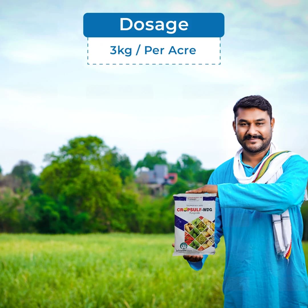 Mahindra Summit Cropsulf Sulphur 80% WDG Fungicide, Protection to Crops From Fungal Diseases. - Image 5