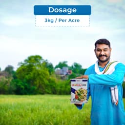 Mahindra Summit Cropsulf Sulphur 80% WDG Fungicide, Protection to Crops From Fungal Diseases. 5