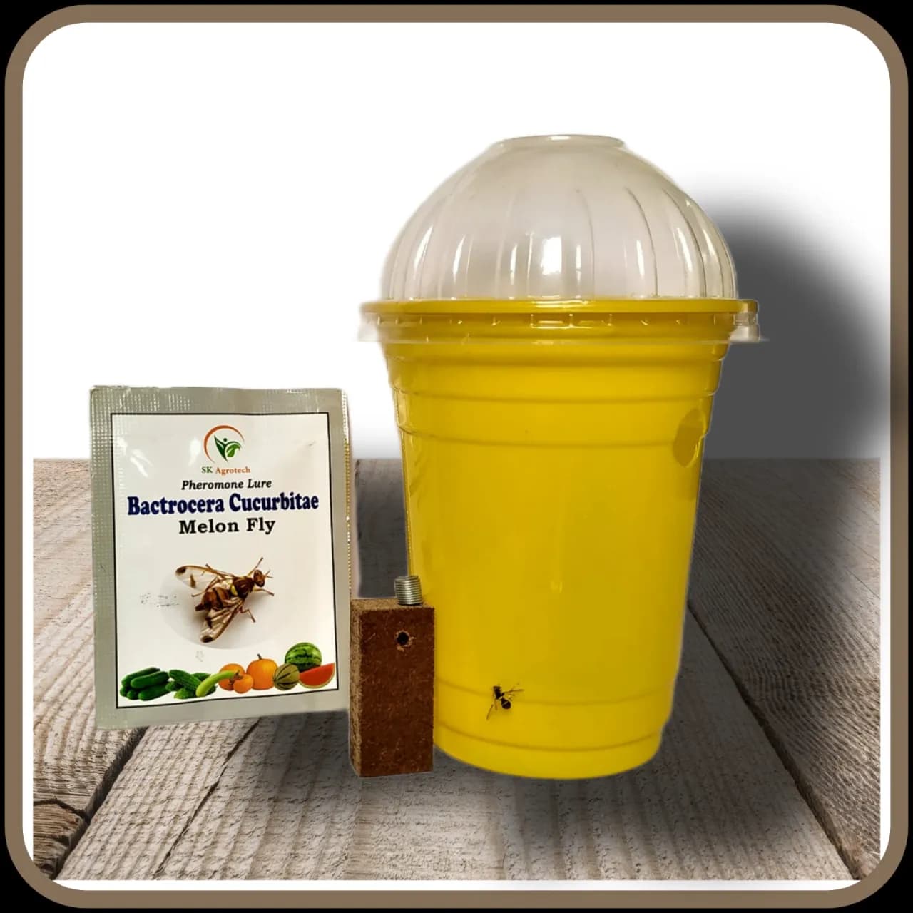एसके एग्रोटेक बैक्ट्रोसेरा कुकुर्बिटाई खरबूजा मक्खी फेरोमोन ट्रैप, सब्जियों के लिए ल्यूर के साथ। - Image 3