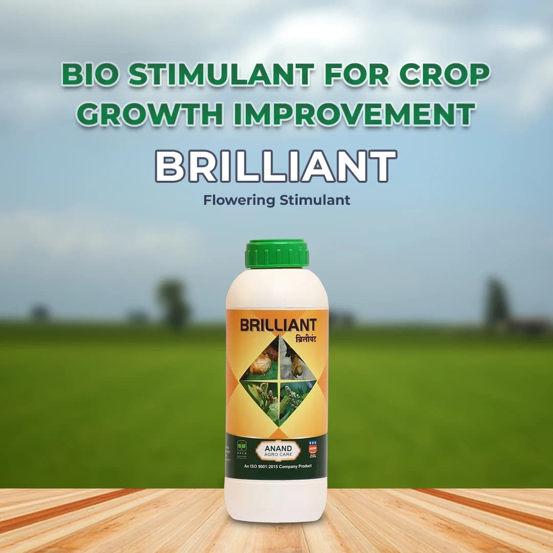 Anand Brilliant Flowering Stimulant, Increases The Yield By Improving The Flowering And Fruit Setting - Image 2