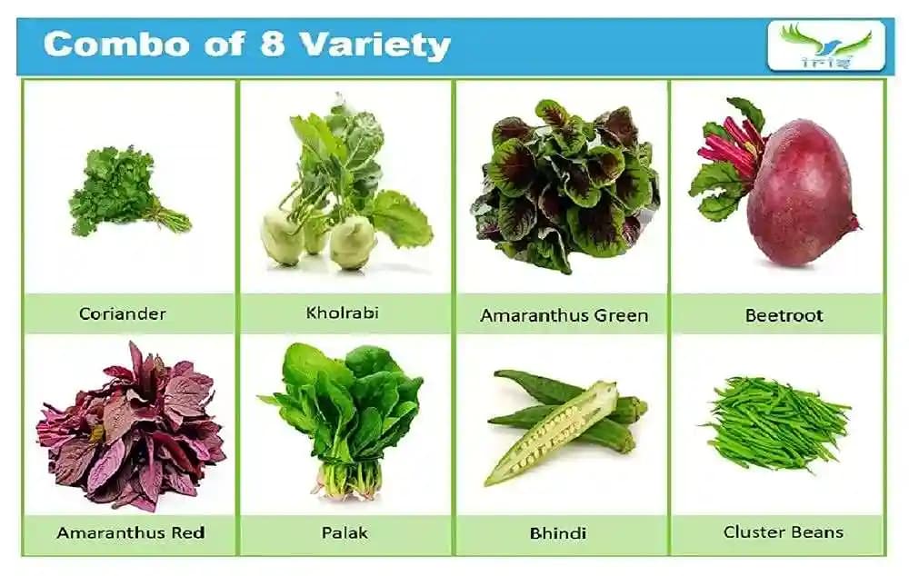 आईरिस हाइब्रिड 8 प्रकार की सब्जियों के बीजों का पैक (680 बीज), किचन गार्डन के लिए - Image 2