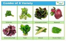 आईरिस हाइब्रिड 8 प्रकार की सब्जियों के बीजों का पैक (680 बीज), किचन गार्डन के लिए 1