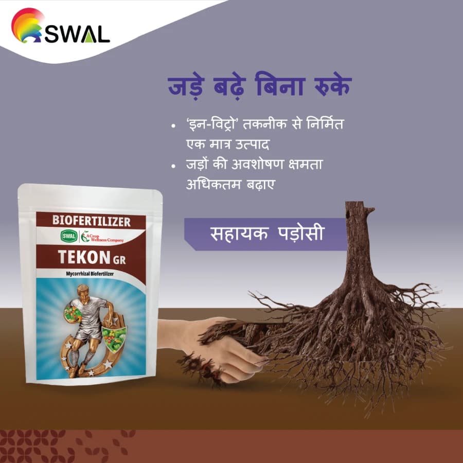Swal TEKON GR Mycorrhizal Bio Fertilizer, Increase The Nutrient Uptake And Improves The Rhizosphere - Image 2