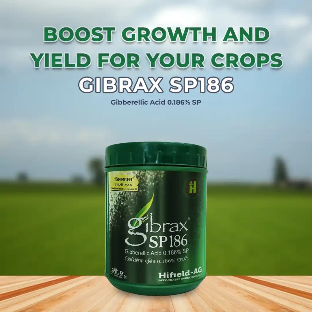 Gibrax SP186 - Gibberellic Acid 0.186% SP Increases Fruit and Flower Size and Helps in Overall Plant Growth - Image 2