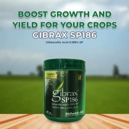 Gibrax SP186 - Gibberellic Acid 0.186% SP Increases Fruit and Flower Size and Helps in Overall Plant Growth 2
