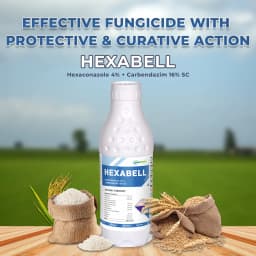Hexabell - Hexaconazole 4% + Carbendazim 16% SC, Highly Effective Fungicide with Protective & Curative Action 2