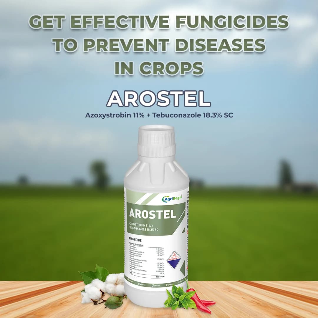 Arostel - Azoxystrobin 11% + Tebuconazole 18.3% SC, Broad Spectrum Fungicide - Image 2