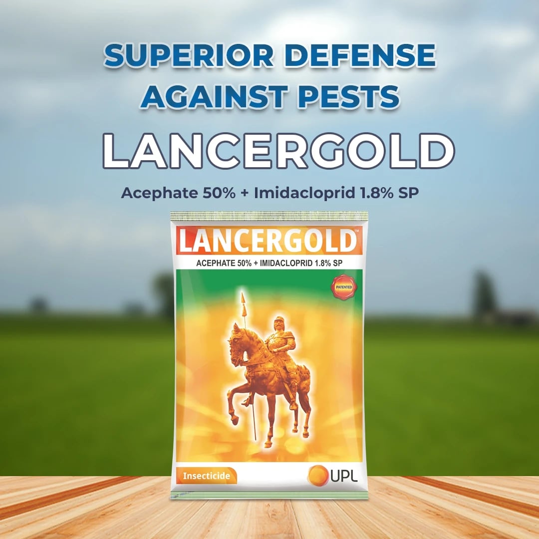 UPL Lancer Gold Insecticide - Acephate 50% + Imidacloprid 1.8% SP