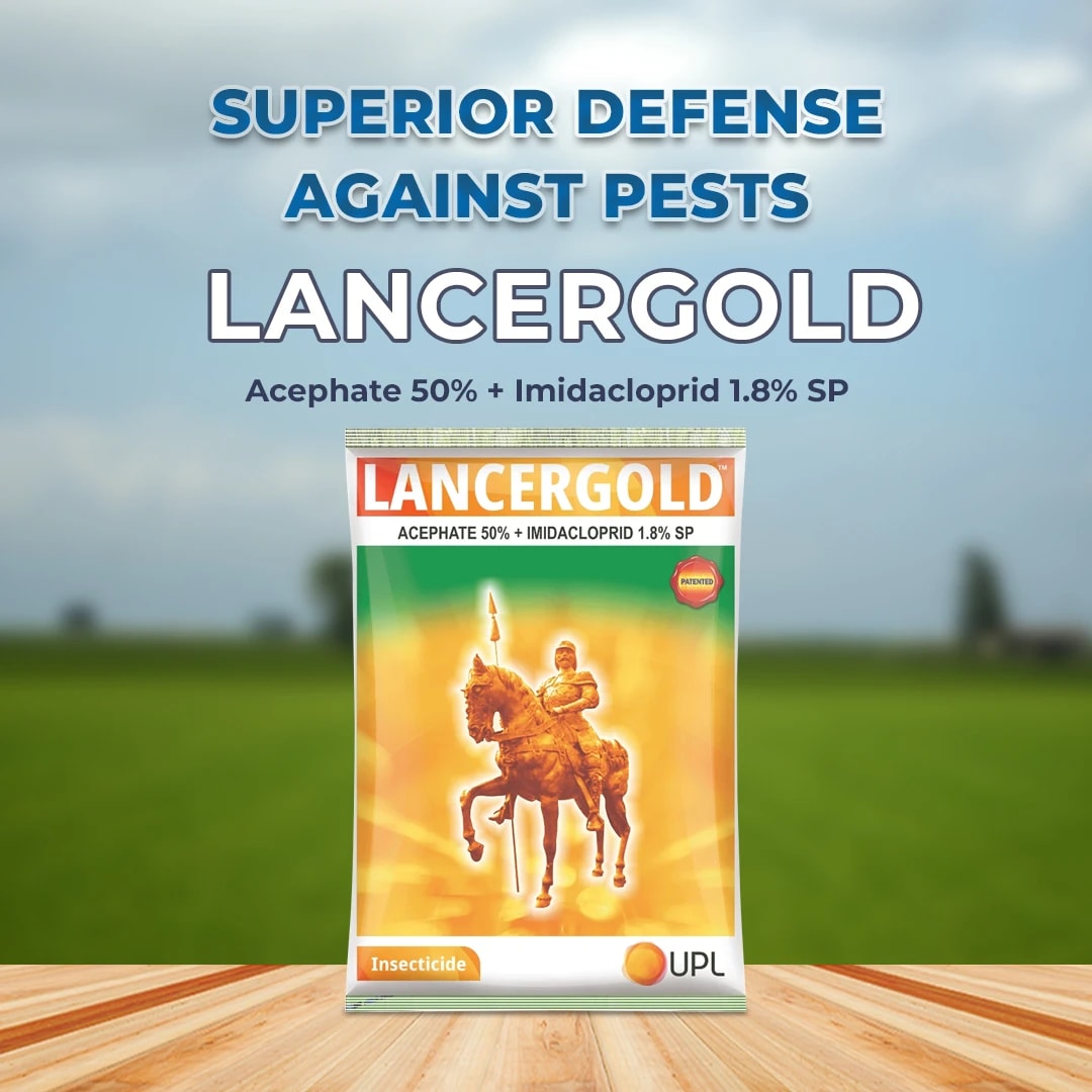 UPL Lancer Gold Insecticide - Acephate 50% + Imidacloprid 1.8% SP