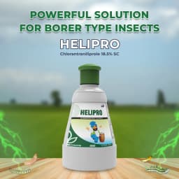 GSP Helipro Insecticide - Chlorantraniliprole 18.5% SC 2