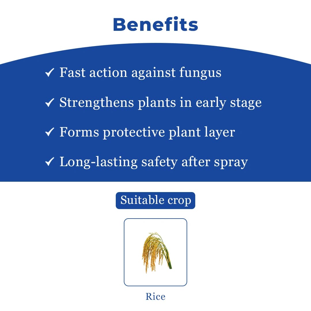 IIL Izuki Thifluzamide 26% + Kasugamycin 6% SC Fungicide, Advanced Disease Control For Paddy - Image 4