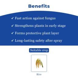 IIL Izuki Thifluzamide 26% + Kasugamycin 6% SC Fungicide, Advanced Disease Control For Paddy 4