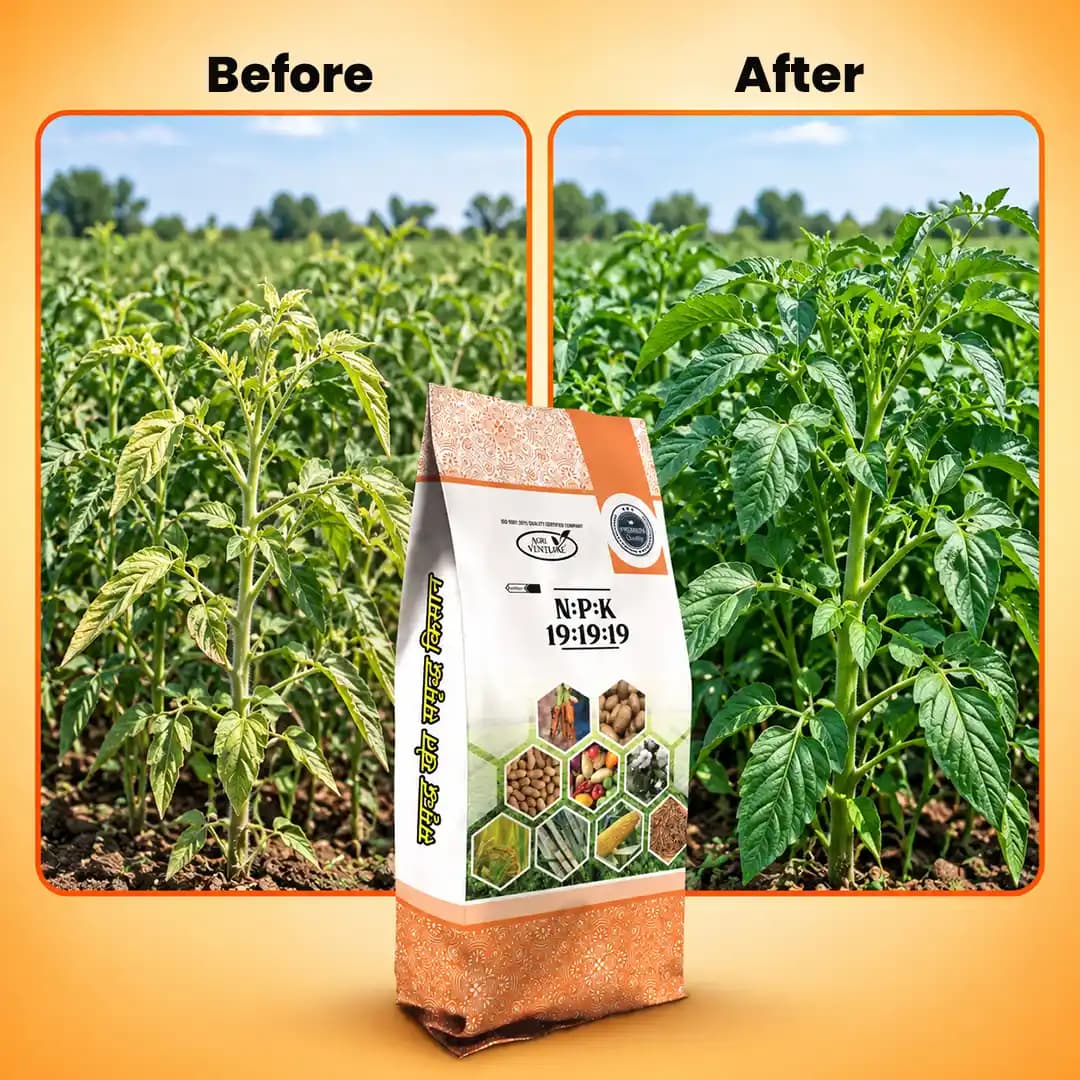 Agriventure NPK 19:19:19 Imported 100% Water Soluble Fertilizer For All Crop, Drip and Foliar Spray Fertilizer - Image 5