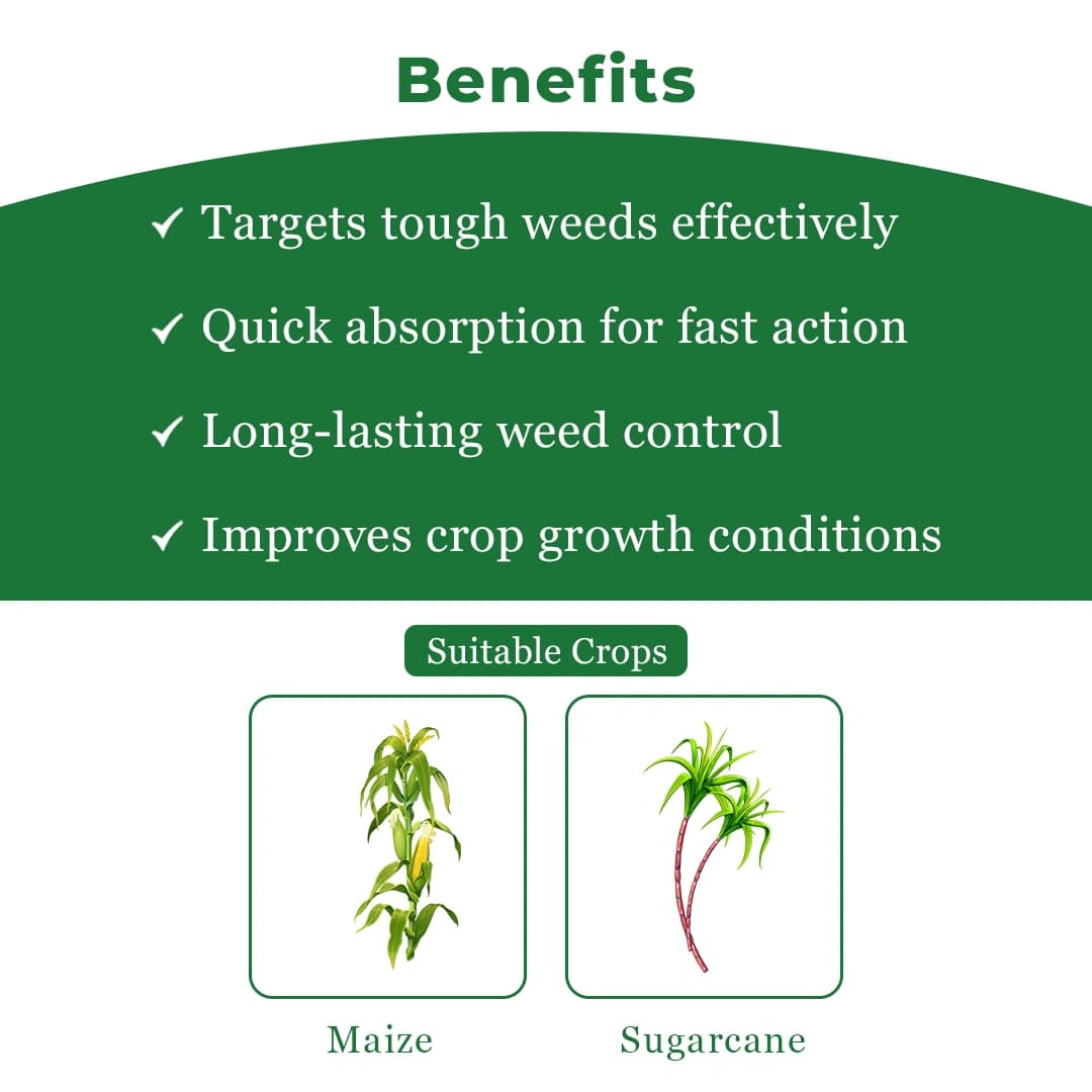 Hpm Dhruv Glyphosate Ammonium Salt 71% Sg , Use To Control Annual Grass As Well As Broad Leave Weeds. - Image 4