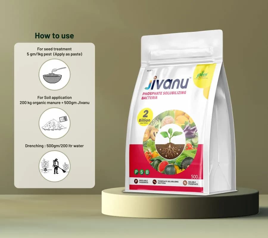 Jivanu Phosphate Solubilizing Bacteria Bio Fertilizers, Increase Stem Strength - Image 5