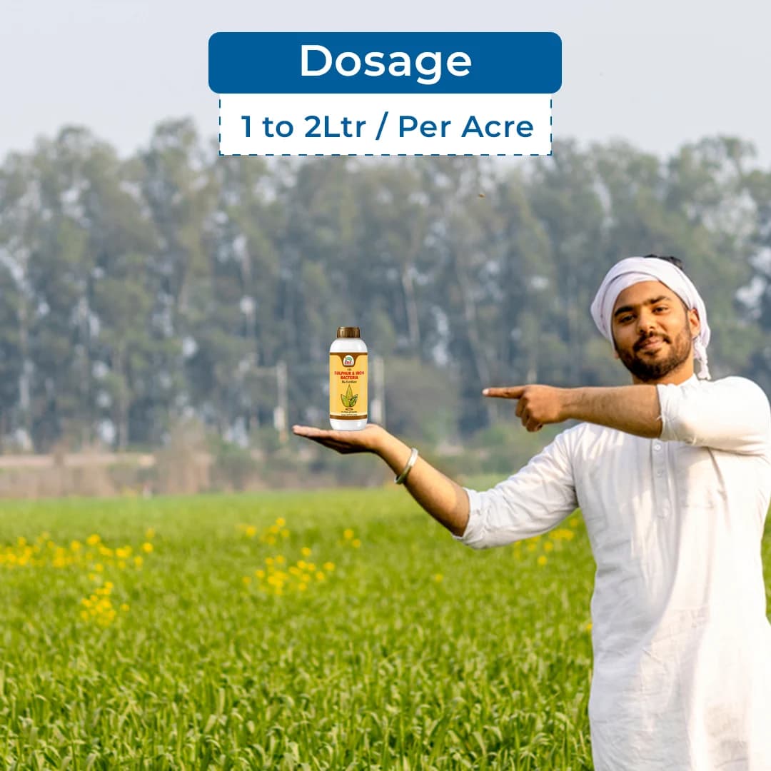 EBS Sulphur & Iron Bacteria Bio Fertilizer, Use for Plants, Crops, Nursery and Home Garden - Image 5