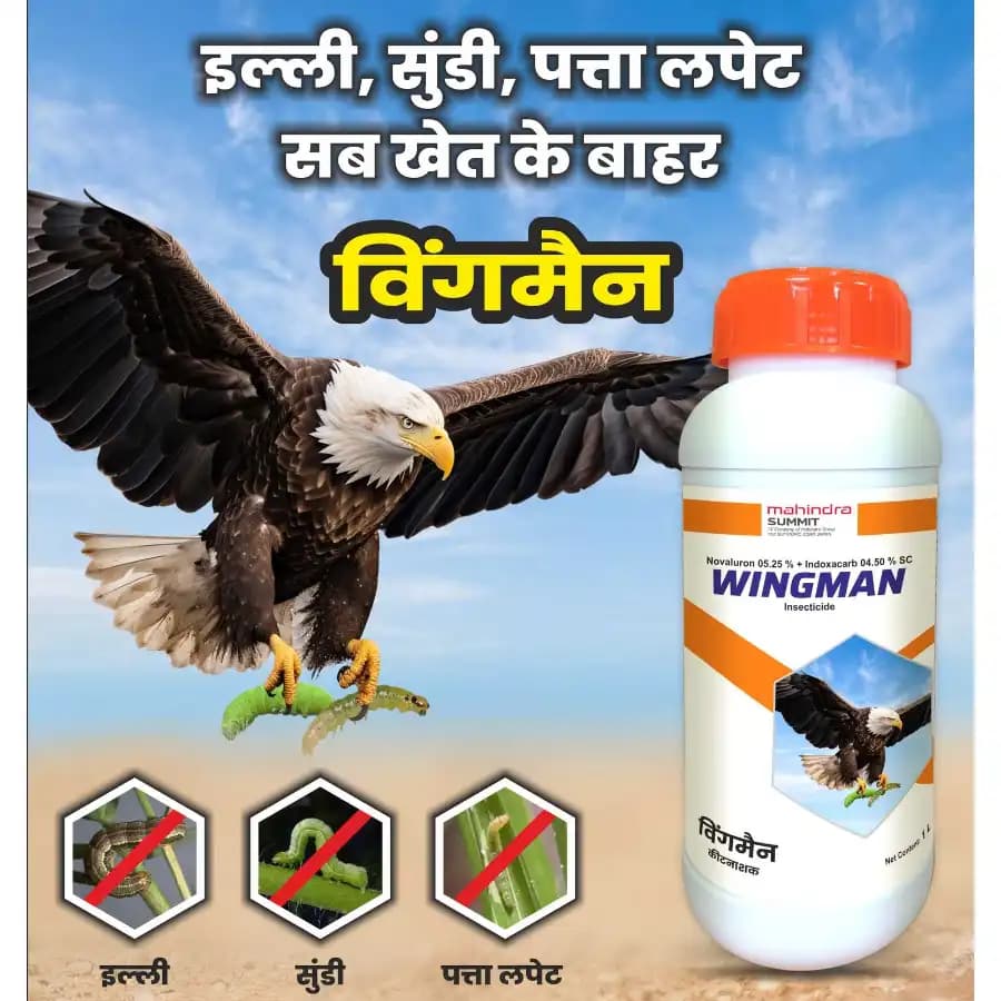 Mahindra Wingman Novaluron 5.25% + Indoxacarb 4.50% SC Insecticide, Effective For Lepidopteran Pest Control - Image 2