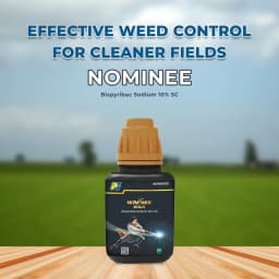 Nominee Gold Bispyribac Sodium 10% SC , Post Emergent Herbicide , Broad Spectrum Systemic Herbicide for all Types of Rice Cultivation 2