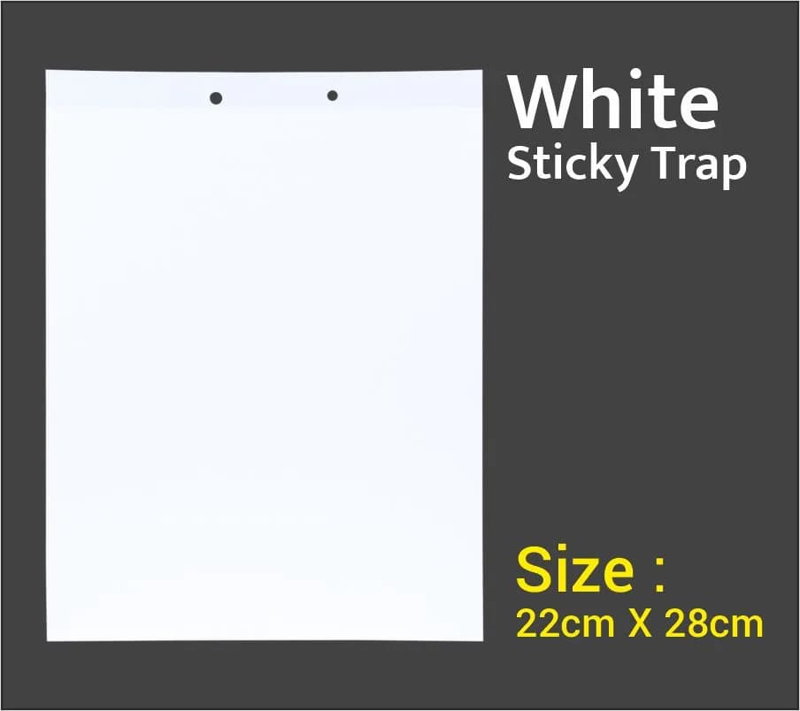 White Insect Sticky Trap for Thrips 220 MM X 280 MM, Red Mites and all Other Sucking Pests. - Image 4