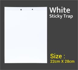 White Insect Sticky Trap for Thrips 220 MM X 280 MM, Red Mites and all Other Sucking Pests. 4