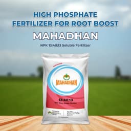 Mahadhan NPK 13:40:13, 100% Water Soluble Fertilizer, Balanced Vegetative Growth, Profuse Flowering And Fruiting 2