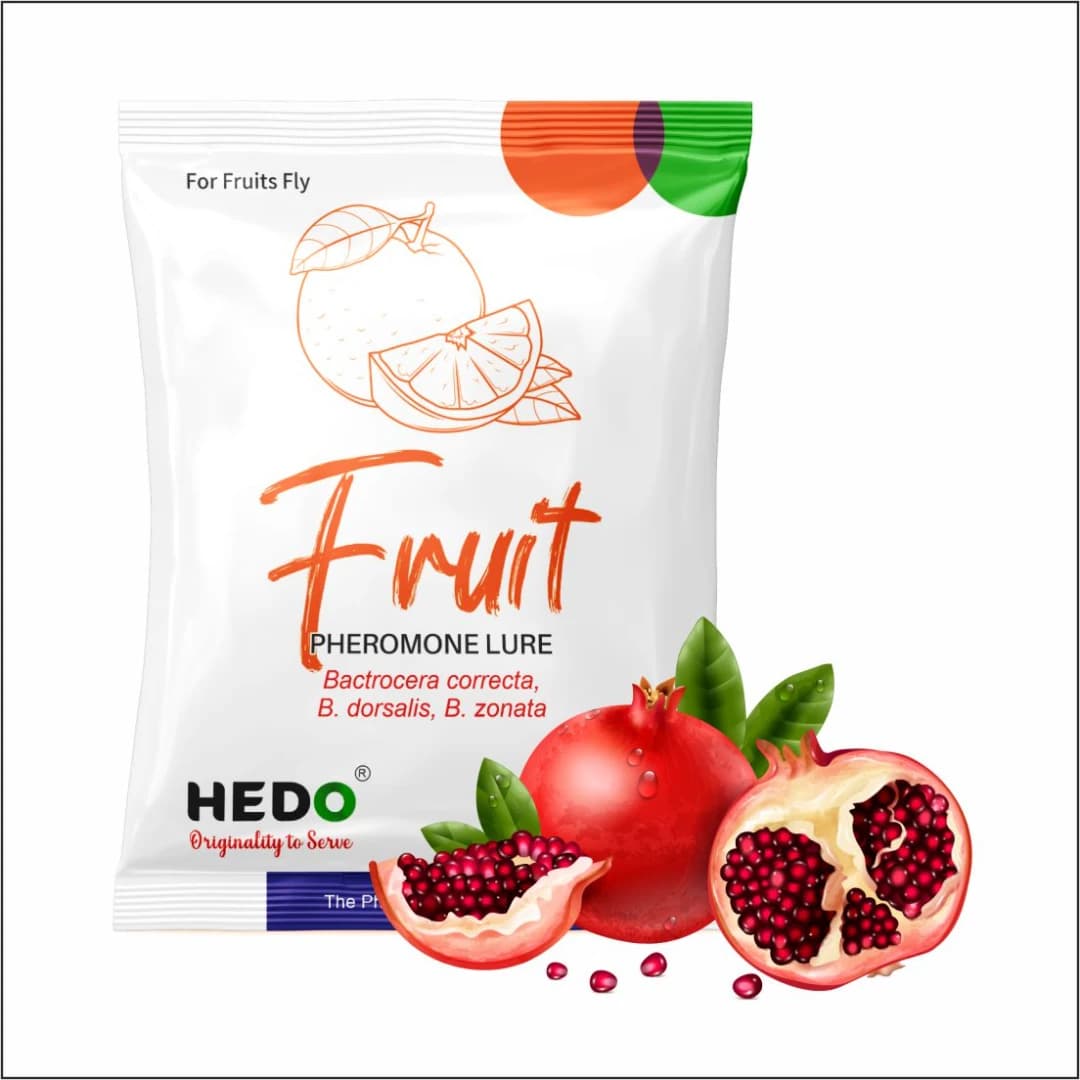 HEDO Fruit Fly Trap And Fruit Fly Lure (Bactrocera Correcta, Bactrocera Zonata, Bactrocera Dorsalisa) Control Fruit Fly In All Fruits - Image 6
