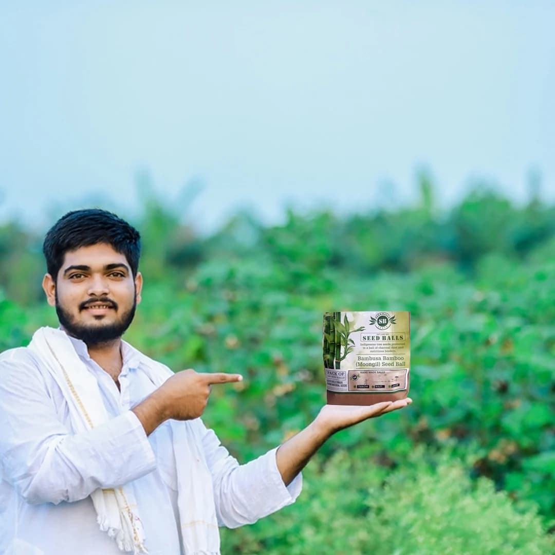 सीड बॉल्स - बस फेंको और उगाओ (बाँस या मोंगिल पेड़ बीज बॉल्स) वृक्ष बीज बॉल्स। बस भूमि पर फेंकें या बर्तन में रखें। - Image 5