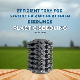 सिद्धि प्लास्टिक सीडलिंग नर्सरी ट्रे, सर्वोत्तम गुणवत्ता, केवल एक बार उपयोग और उत्पादकता बढ़ाता है। 2