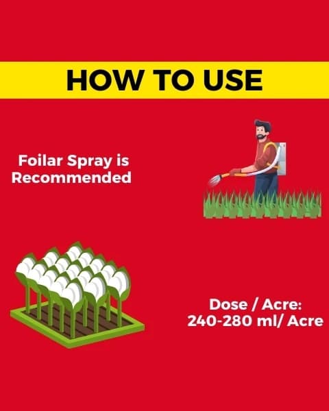 Katyayani Spino25 Spinosad 2.5% SC Insecticide, Effective Pest Control In Crops - Image 5