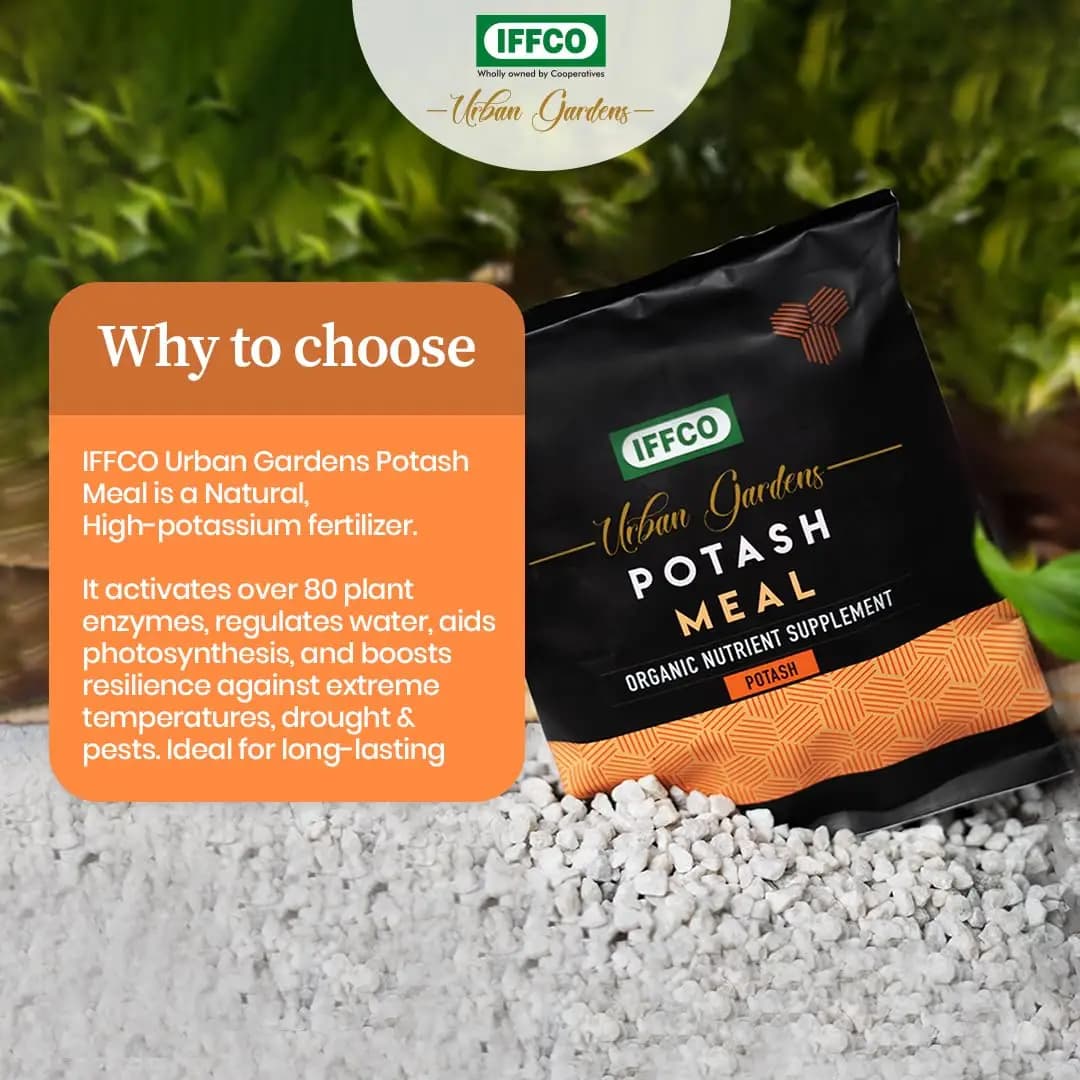 IFFCO Urban Garden Potash Meal, Organic Nutrient Supplement Potash Fertilizer For Plants and Home Garden, Plant Nutrient Supplement - Image 3