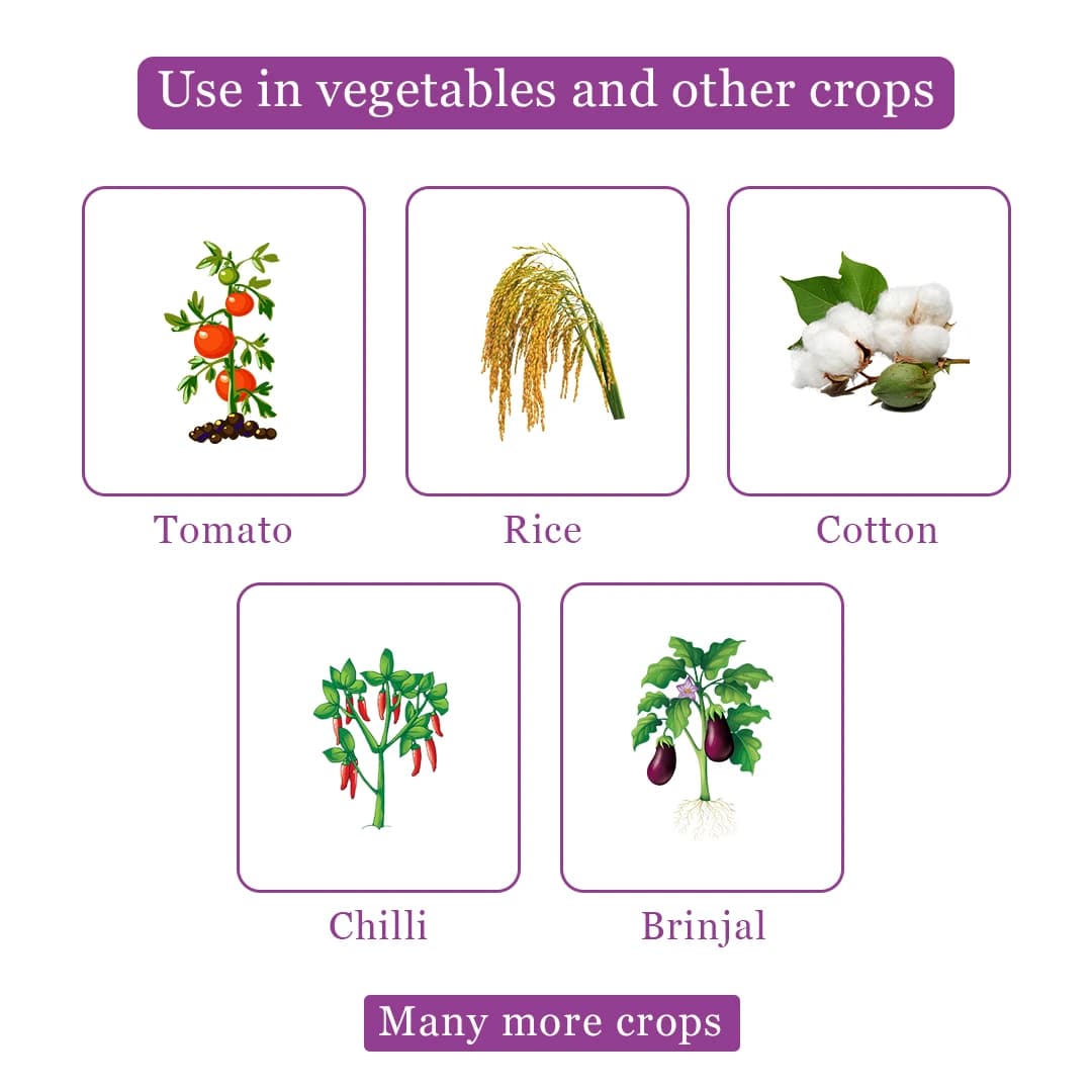 Titan Agritech Pepora Insecticide - Image 5
