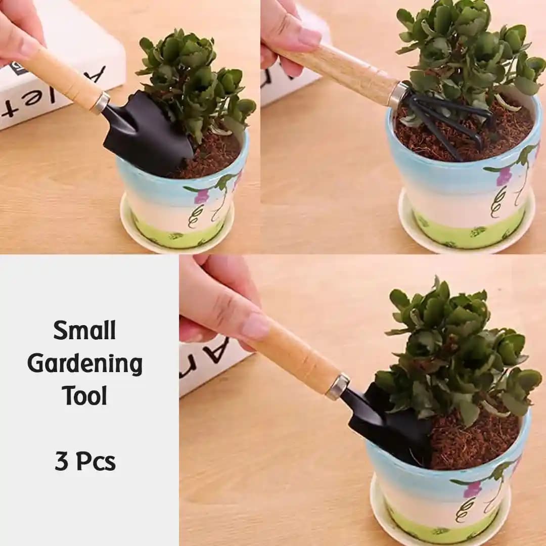 Garden Tool Kit With Wooden Handles For Planting, Potting, Ideal For Home And Farms - Image 5