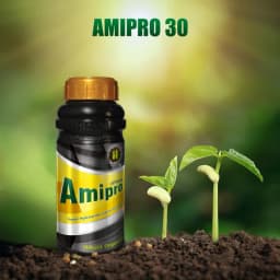 Hifield Amipro 30% SL Protien Hydrolysate Liquid. Amino Acid, Organic Nitrogen Supplement, Proteins Supplement, Energy booster, Immunity Booster. 2