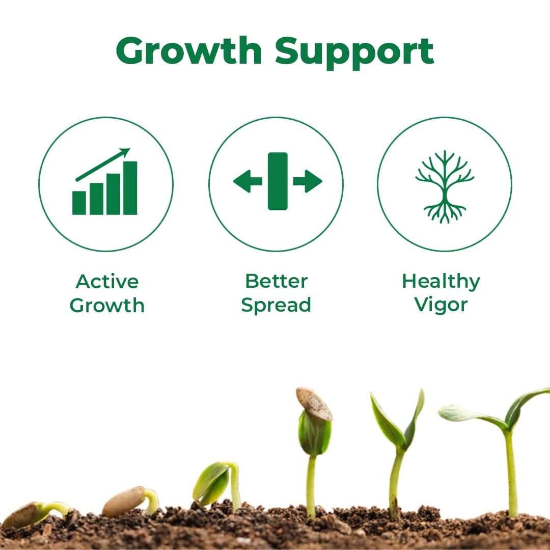 Core Growth Regulator - Triacontanol 0.05% EC - Image 3