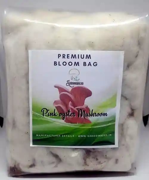SporeKart Oyster Mushroom Combo, Ready To Fruit Mushroom Block (White, Grey, Yellow, Pink)