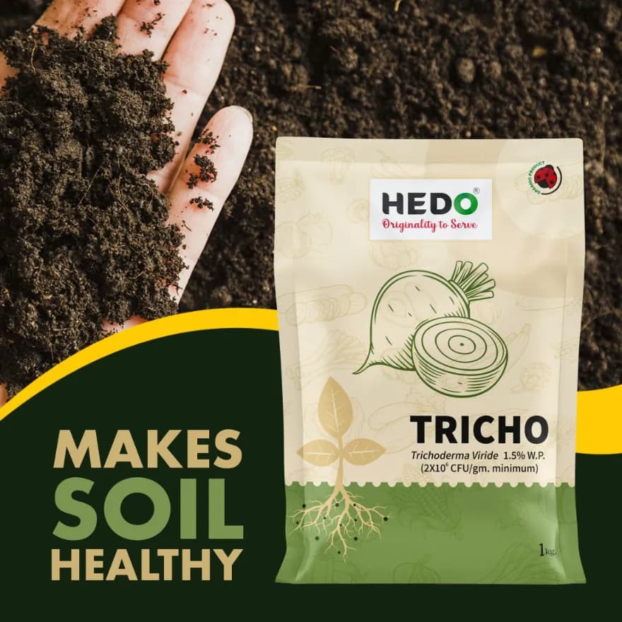 HEDO Tricho Trichoderma Viride 1.5% WP Bio Pesticide, Control A Wide Range of Soil And Seed Borne Fungal Diseases - Image 7